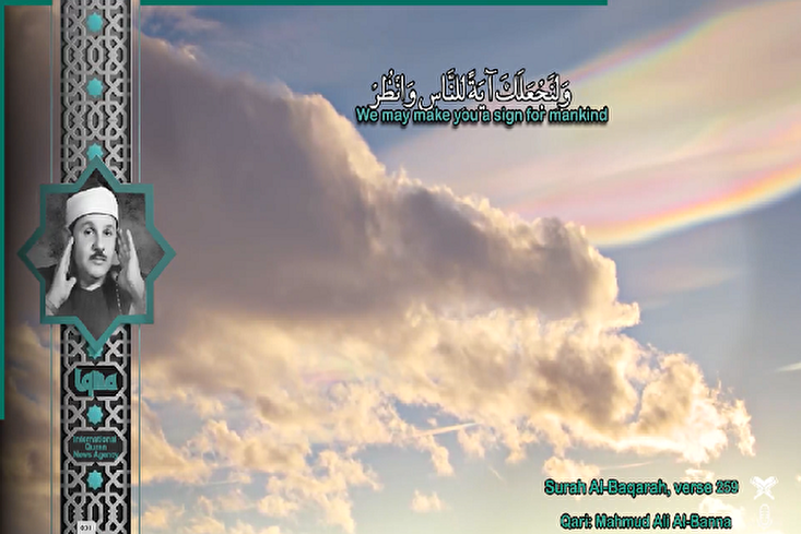 ভিডিও | 