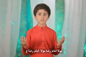 نماهنگ/ «مولا امام رضا» به زبان اردو