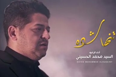 نماهنگ/ «تنها شده زینب» با نوای سیدمحمد حسینی