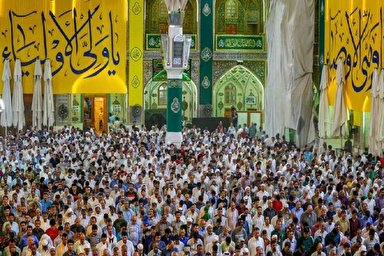 فیلم | صحن و سرای مولا علی (ع)