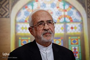 دلیل توهین به رسول خدا گسترش اسلام در اروپا است / مسلمانان تولیدات فرانسوی را تحریم کنند