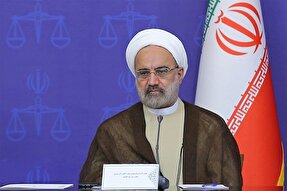 قطع دست متخلفان از بیت‌المال هدف مشترک دولت و قوه قضائیه است