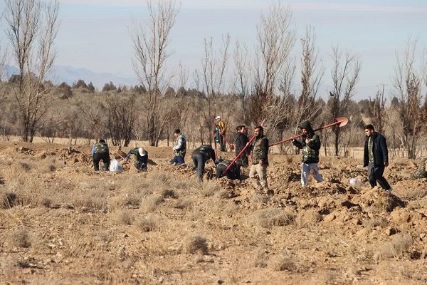 کاشت نهال در پارگ جنگلی اراک کاشت نهال در پارگ جنگلی اراک