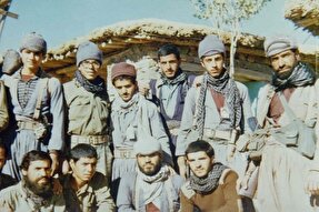 لاله‌های بی‌نشان؛ شکوهی به بلندای ایران