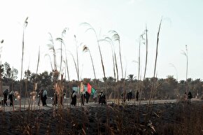 استوری موشن | غبطه بر زائر حسین‌بن‌علی(ع)