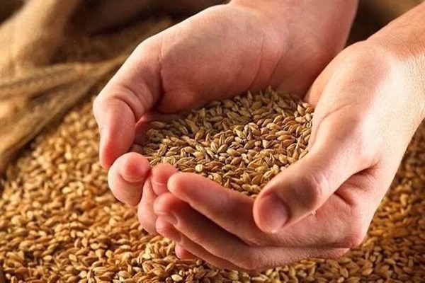 پرداخت زکات