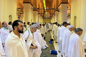 سیری در مسجد شجره