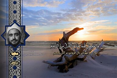 فیلم | مقطعی از تلاوت شنیدنی «نقشبندی» از سوره اسراء