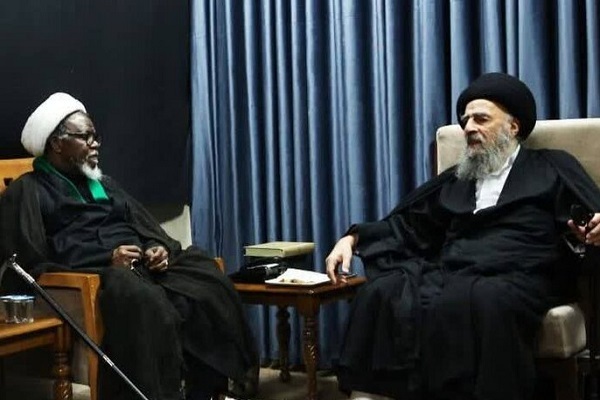 رهبر شیعیان نیجریه با آیت‌الله‌العظمی مدرسی دیدار کرد