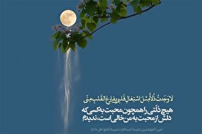 استوری موشن | محبت یک طرفه در کلام امیرالمؤمنین(ع)