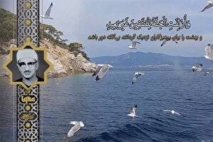 فیلم | فراز شنیدنی «منشاوی» از سوره قاف