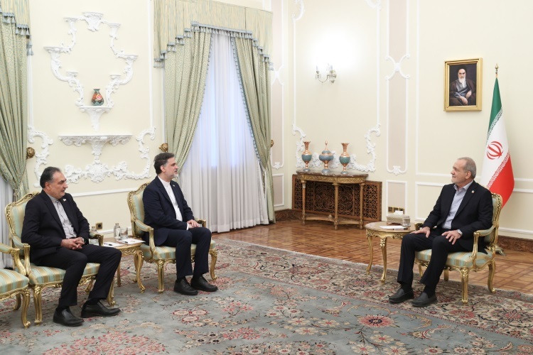 دیدار سفرای جدید ایران در کرواسی و ماداگاسکار با پزشکیان