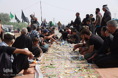راهپیمایی اربعین حسینی(ع) در جاده نجف-کربلا/عکاس:طاها نظیری