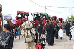 راهپیمایی اربعین حسینی(ع) در جاده نجف-کربلا/عکاس:طاها نظیری