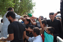 راهپیمایی اربعین حسینی(ع) در جاده نجف-کربلا/عکاس:طاها نظیری