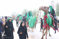 راهپیمایی اربعین حسینی(ع) در جاده نجف-کربلا/عکاس:طاها نظیری