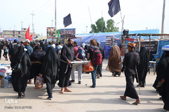 راهپیمایی اربعین حسینی(ع) در جاده نجف-کربلا/عکاس:طاها نظیری