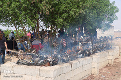 راهپیمایی اربعین حسینی(ع) در جاده نجف-کربلا/عکاس:طاها نظیری