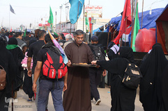 راهپیمایی اربعین حسینی(ع) در جاده نجف-کربلا/عکاس:طاها نظیری