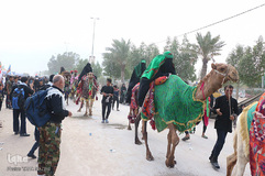 راهپیمایی اربعین حسینی(ع) در جاده نجف-کربلا/عکاس:طاها نظیری