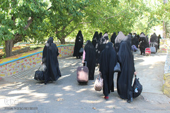 دومین دوره طرح ملی «دانشجو متدبر قرآن» به میزبانی استان مرکزی