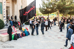 اعزام دانشجویان دانشگاه اراک به پیاده‌روی اربعین