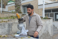 اعزام دانشجویان به مشهد مقدس توسط جهاددانشگاهی استان مرکزی
