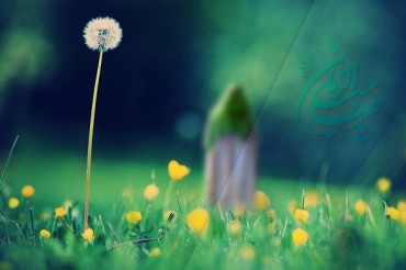 Auguri per anniversario nascita Imam Mahdi (AJ)