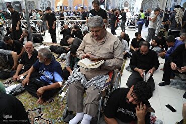Em Imagens: Peregrinos de Arbaeen 2025 Fazem Parada no Santuário do Imam Ali
